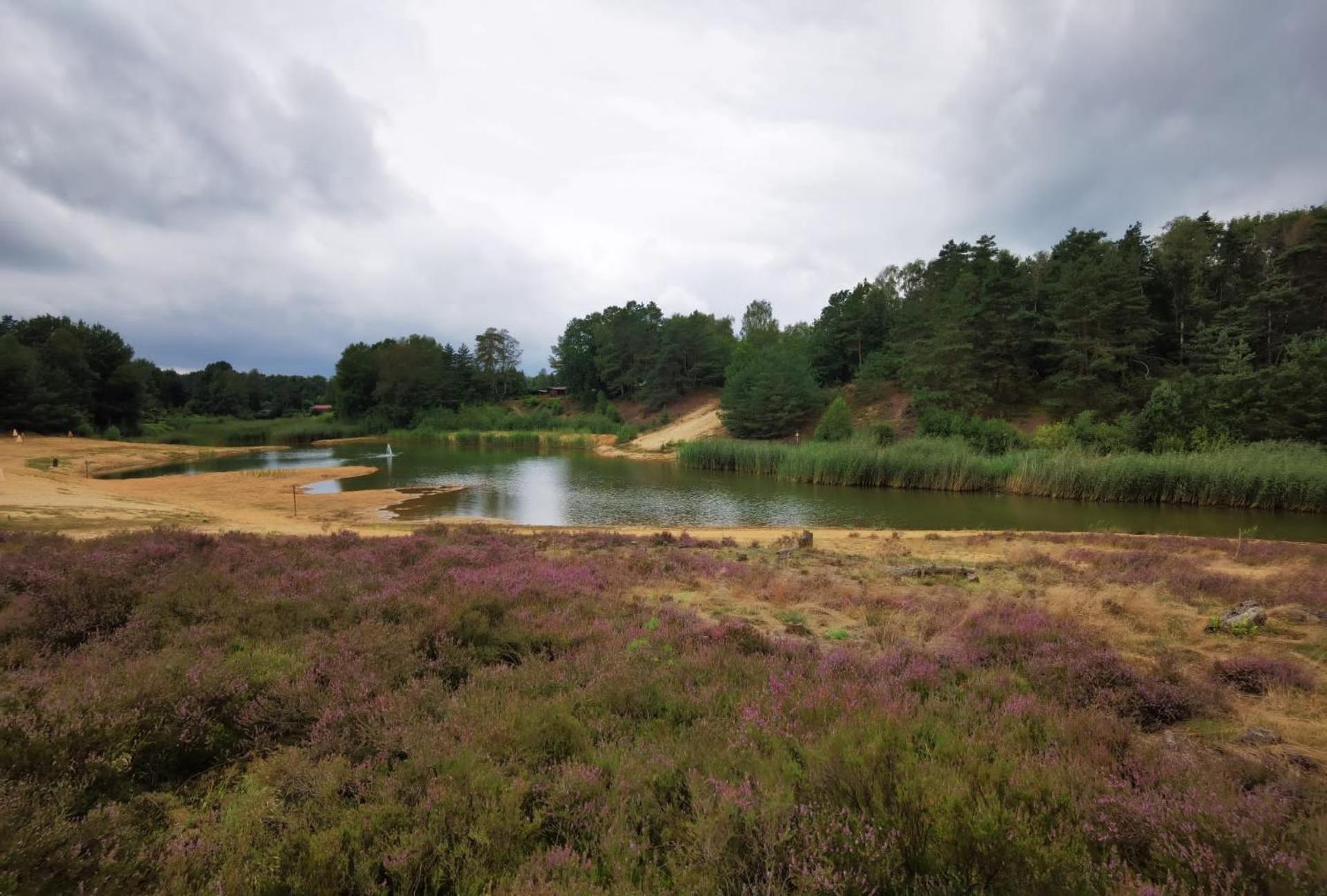 Tiny House Mit Garten In Der Lueneburger Heide ゾルタウ エクステリア 写真