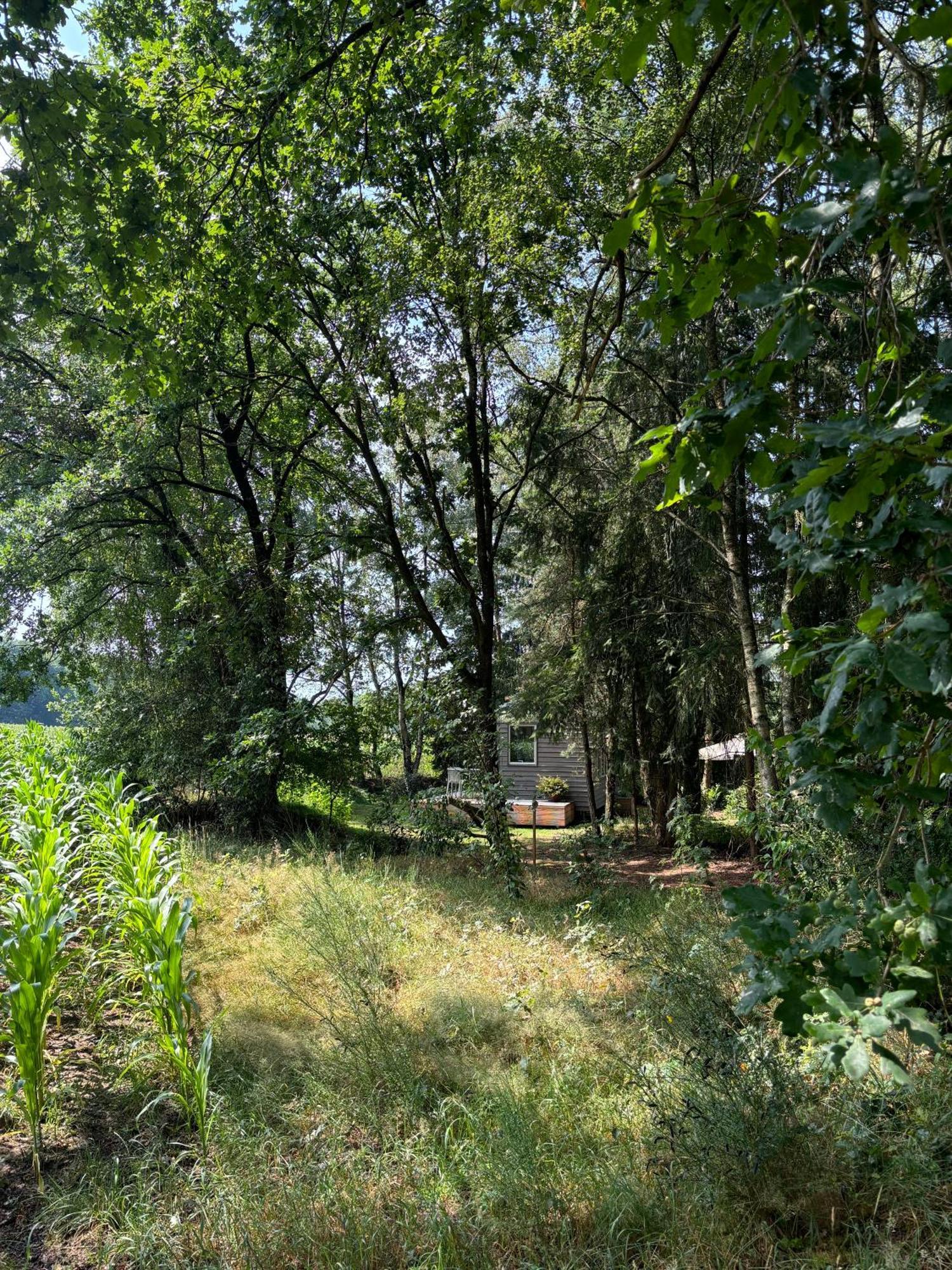 Tiny House Mit Garten In Der Lueneburger Heide ゾルタウ エクステリア 写真